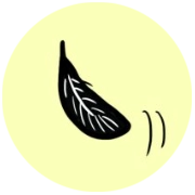 feather1 feather icon
